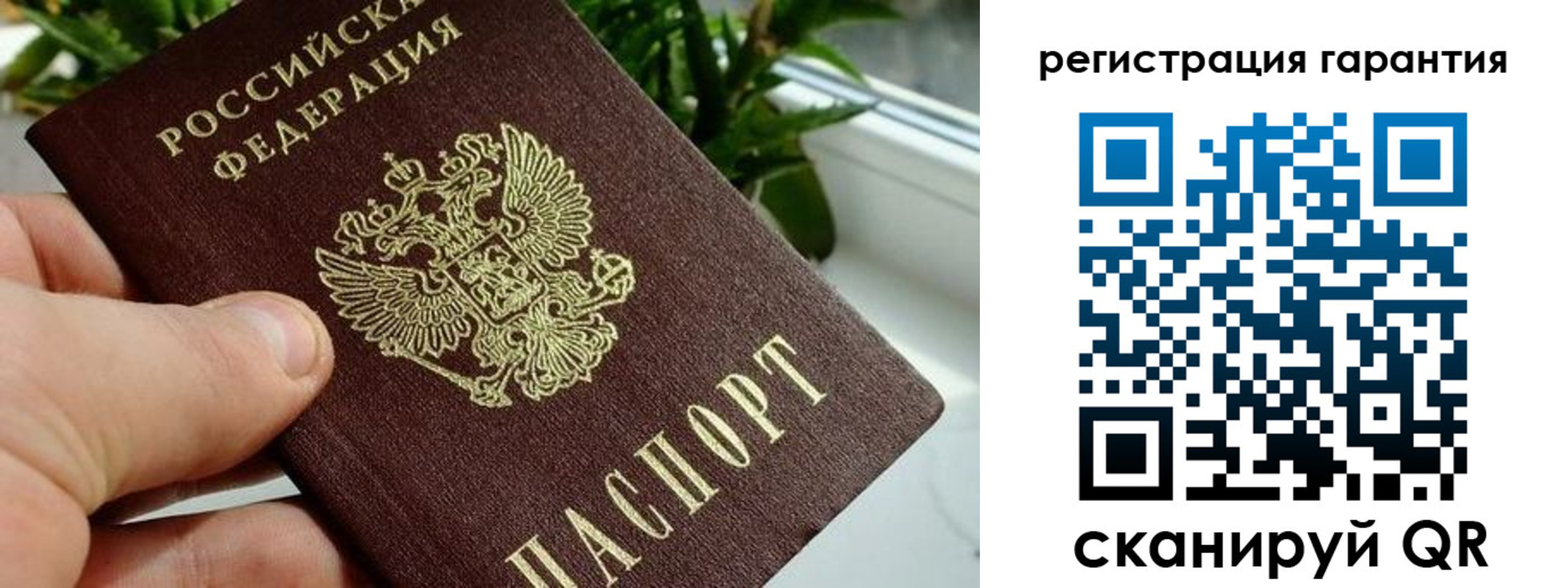 временная регистрация надежно в Черняховске
